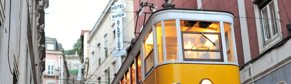 桃園松鋪土虱批發及藥燉排骨(冷凍排骨)批發